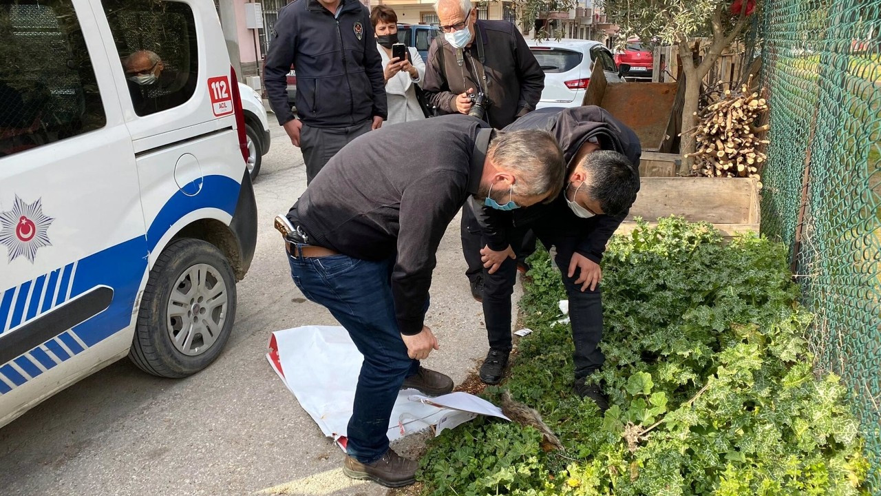 Turgutlu'da bir kedi daha bacakları kesilmiş halde ölü bulundu
