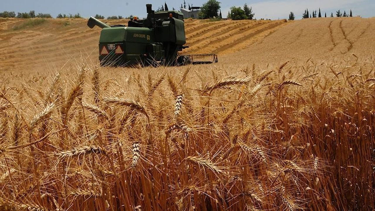 Ukrayna'dan tarım ürünleri ithalatına belge kolaylığı