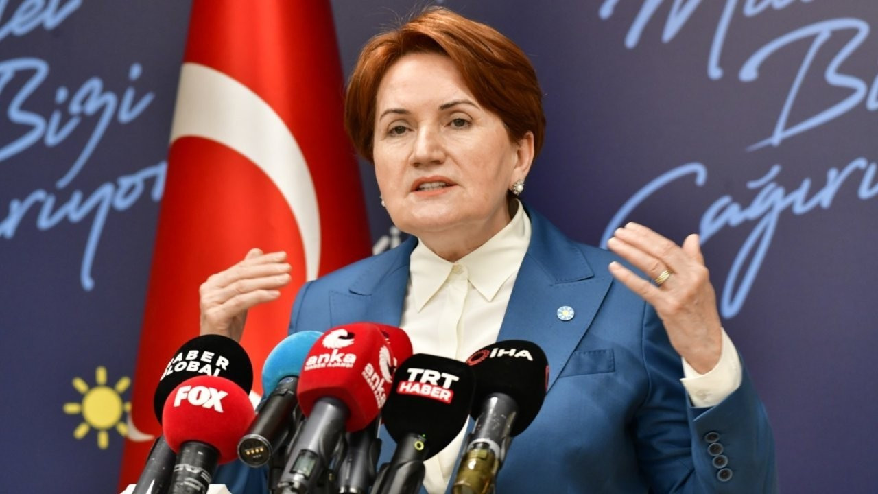 Meral Akşener'in 'Saray' planlaması: Türkiye Yüksek Bilimler Akademisi