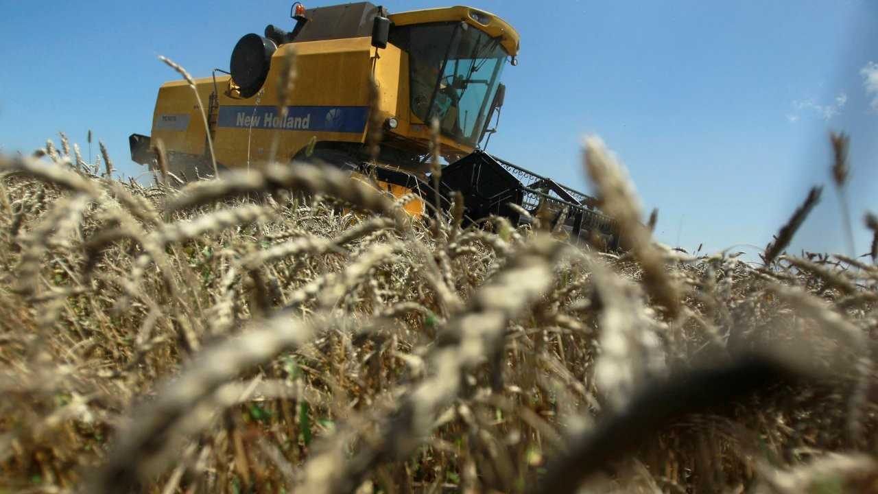 'Ukrayna işgali gıda fiyatlarında şok dalgalarına yol açabilir'