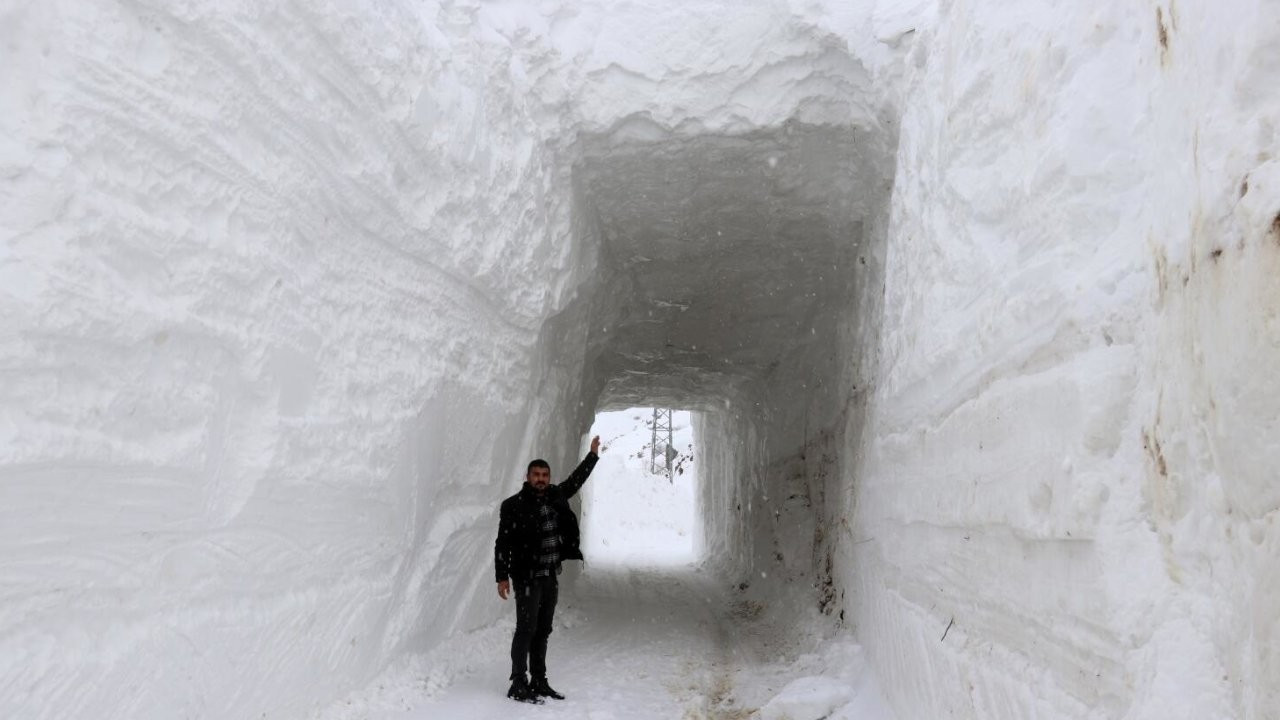 Ağrı'da çığ düşen köy yoluna 'kardan tünel' açıldı