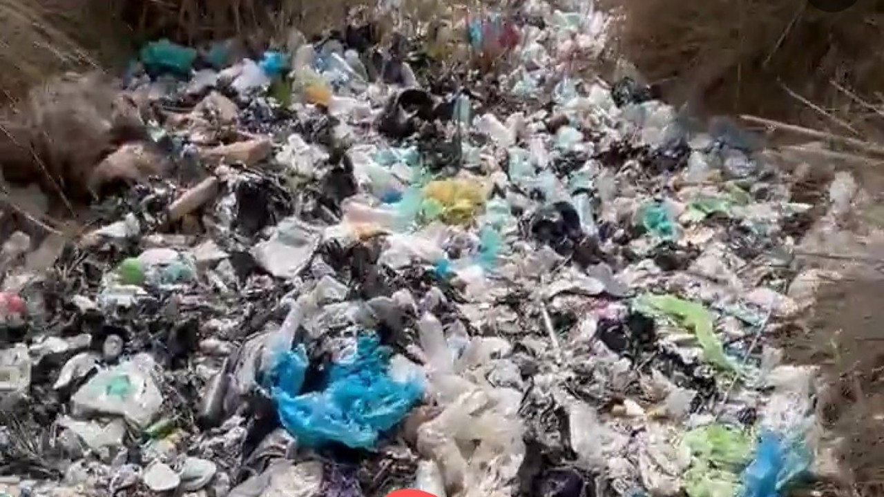 Kuş cennetinde çöp yığınları: Otel logolu materyaller bulundu