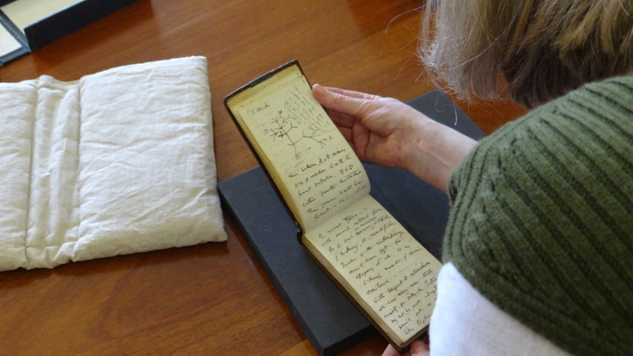Darwin'in 22 yıl önce çalınan not defterleri kütüphaneye geri bırakıldı