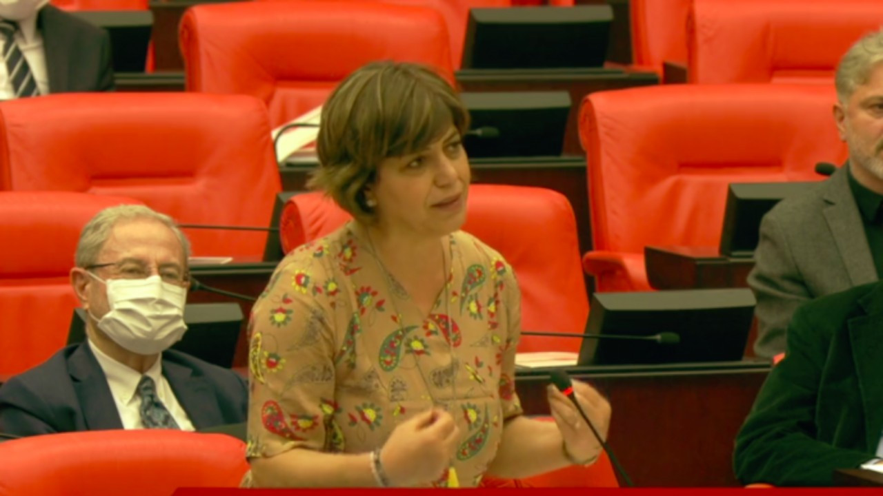 Leyla Güven'in 'yasaklı elbisesini' Meral Danış Beştaş Meclis'te giydi