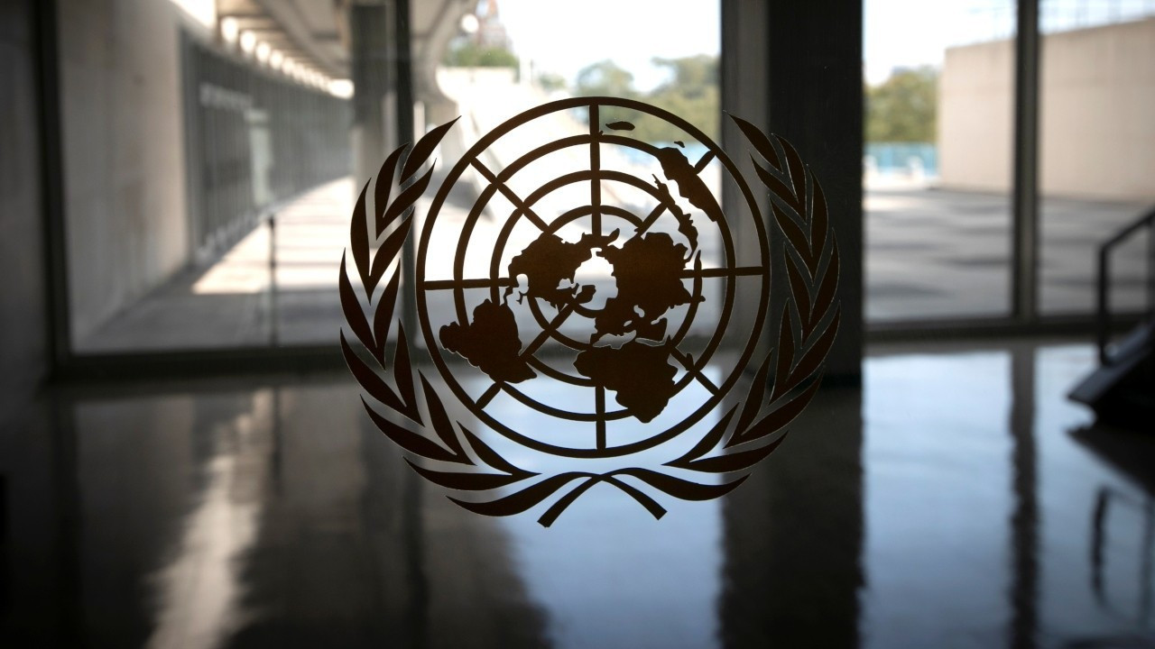 BM İnsan Hakları Özel Raportörü'nün katkı çağrısı Türkçeye çevrildi