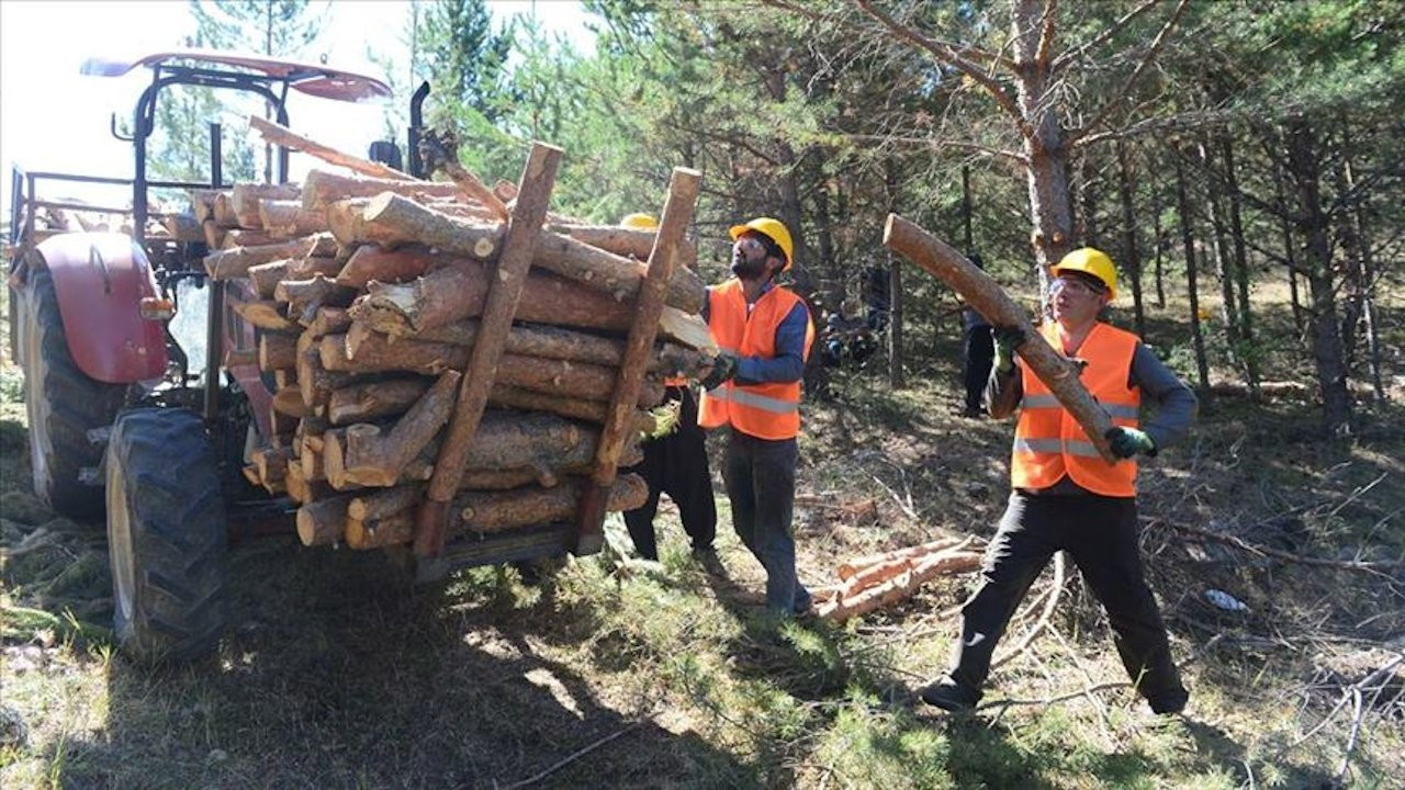 Orman Genel Müdürlüğü 5 bin geçici işçi alacak