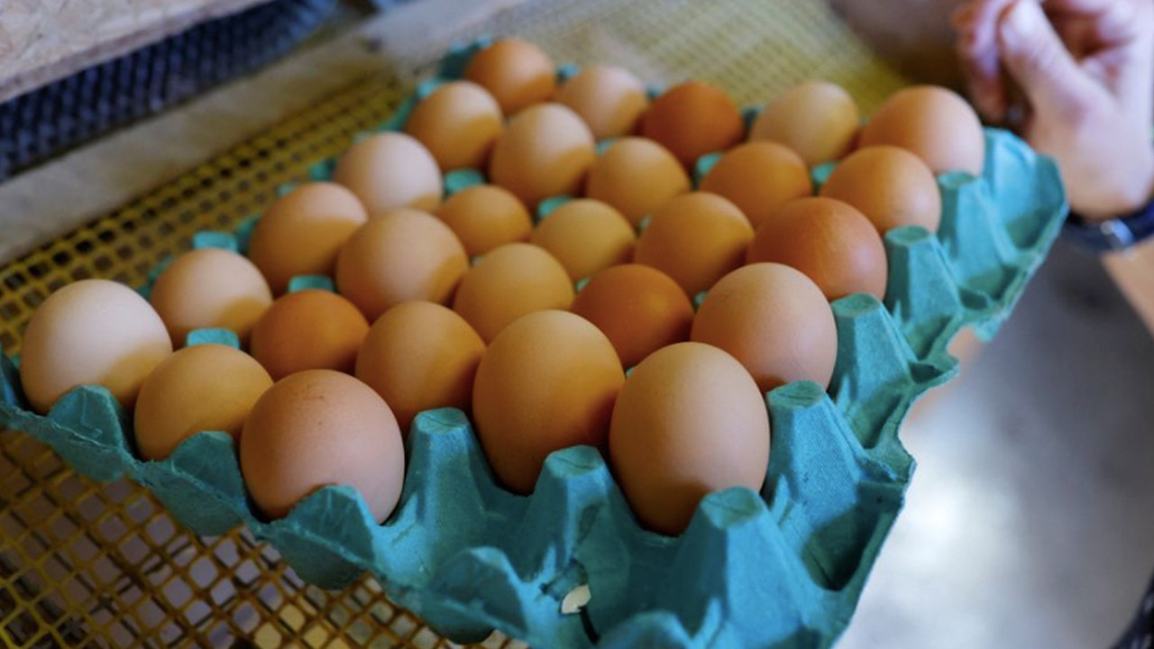 Reuters: Ukrayna'dan yumurta ithal edemeyen ülkeler Türkiye'ye yöneldi