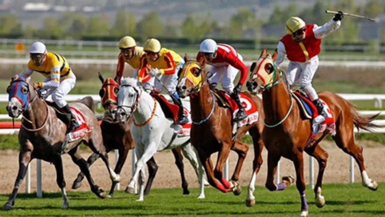 Torba yasa: Atlar da Varlık Fonu için koşacak