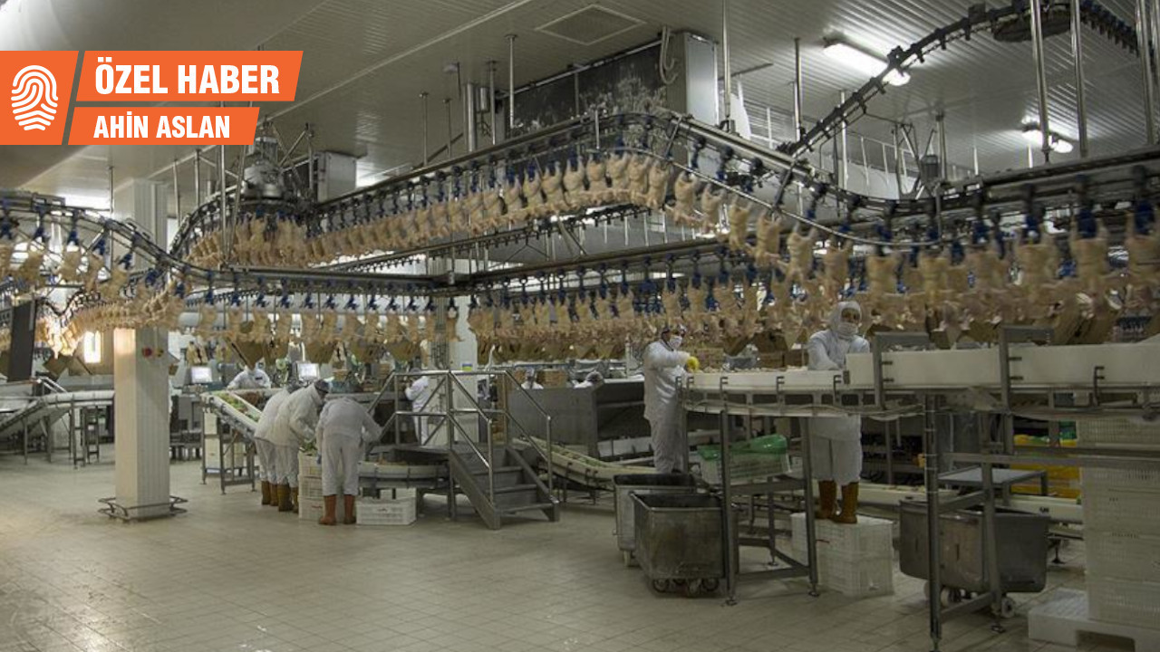 Tavuk fabrikasındaki işçiler: Ramazan ayında yemek verilmiyor