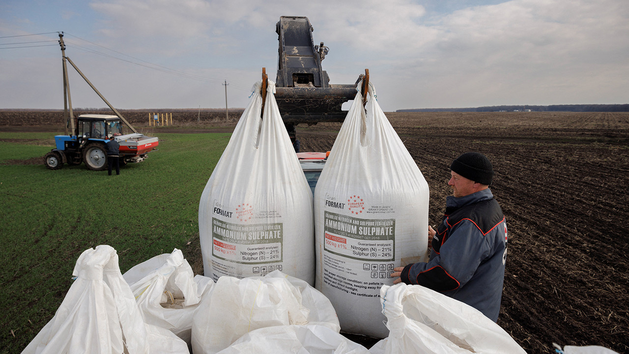 İngiltere'de çiftliklerde çalışan Ukraynalı işçilere kölelik koşulları dayatılıyor