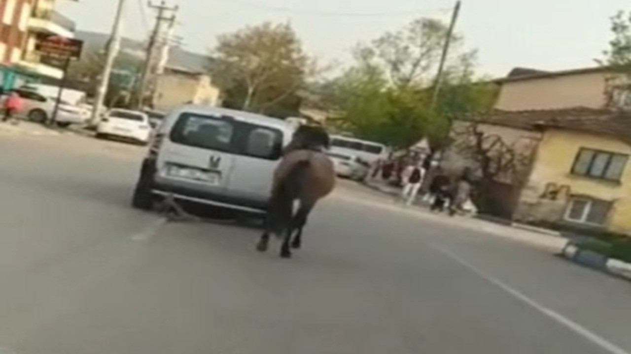Atı araca bağlayan sürücüye para cezası