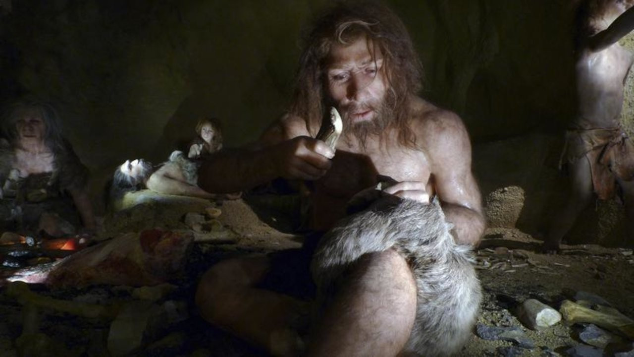 Neandertallerle yolumuz ne zaman ayrıldı?