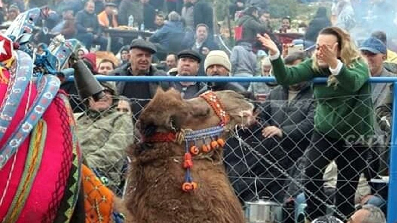 'Süperstar Alev'in 2 milyonluk develerine el koyuldu