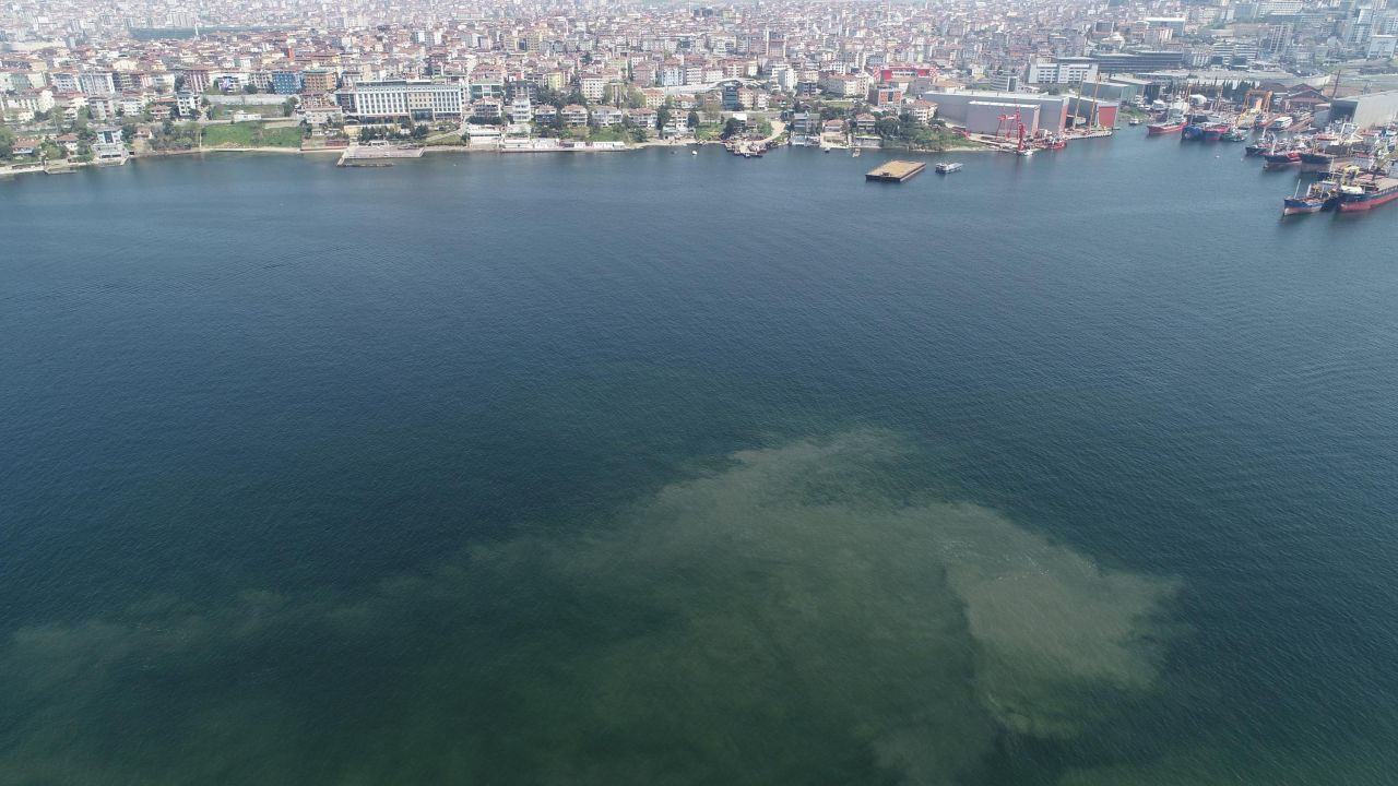 İstanbul'da bazı sahillerde müsilaj benzeri kirlilik görüldü - Sayfa 2