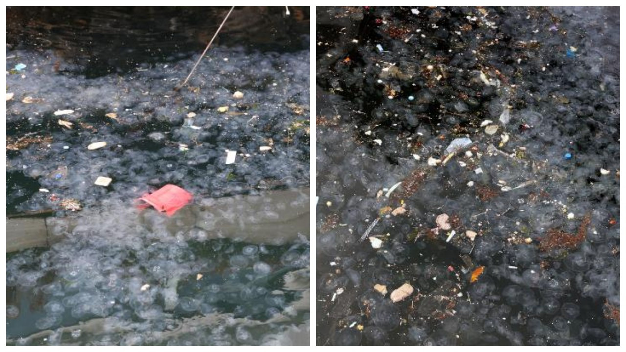 Arnavutköy'de çöp denizi: Biz atmazsak belediye işçileri ne yapacak?