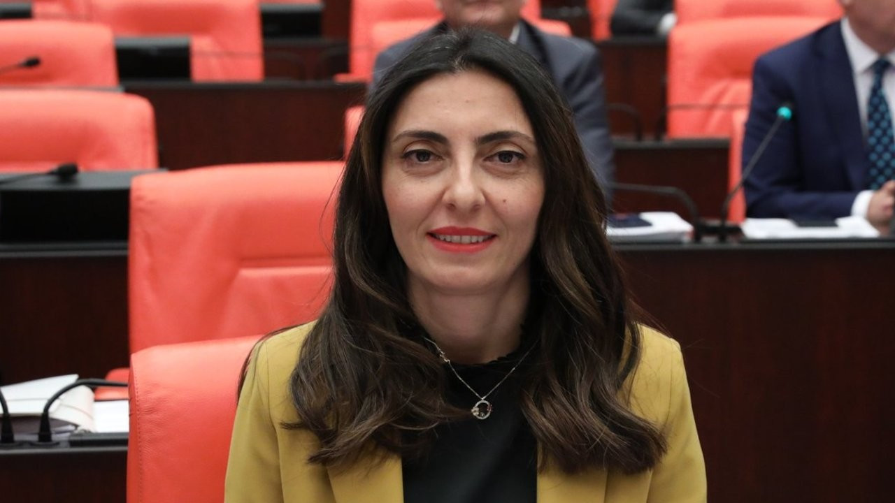 Dar Hejiroke'yi Meclis'te söyledi: CHP'li vekilden Aynur Doğan'a destek