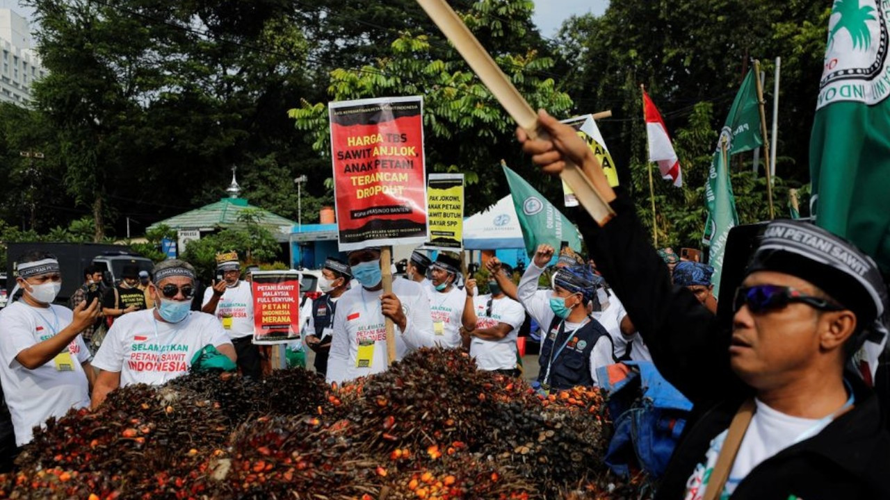 Endonezyalı çiftçiler palm yağı ihracat yasağına tepkili