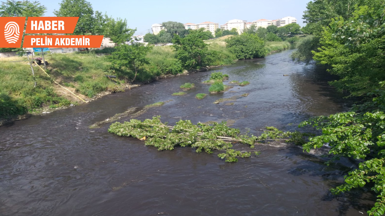 Marmara Yaşasın Kervanı, Bursa’da: Kirli su ile bahçeler sulanıyor