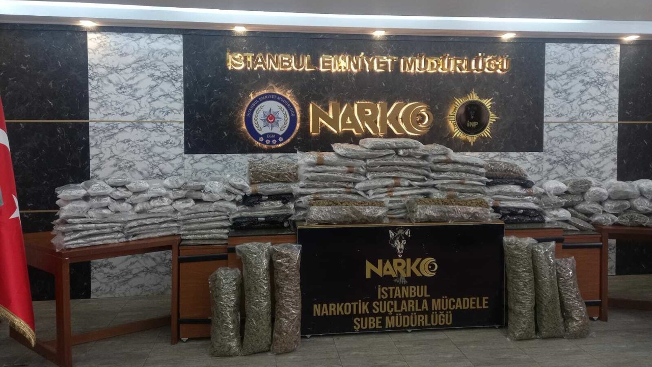 İstanbul'da 120 kilo marihuana bitkisi ele geçirildi: 14 tutuklama
