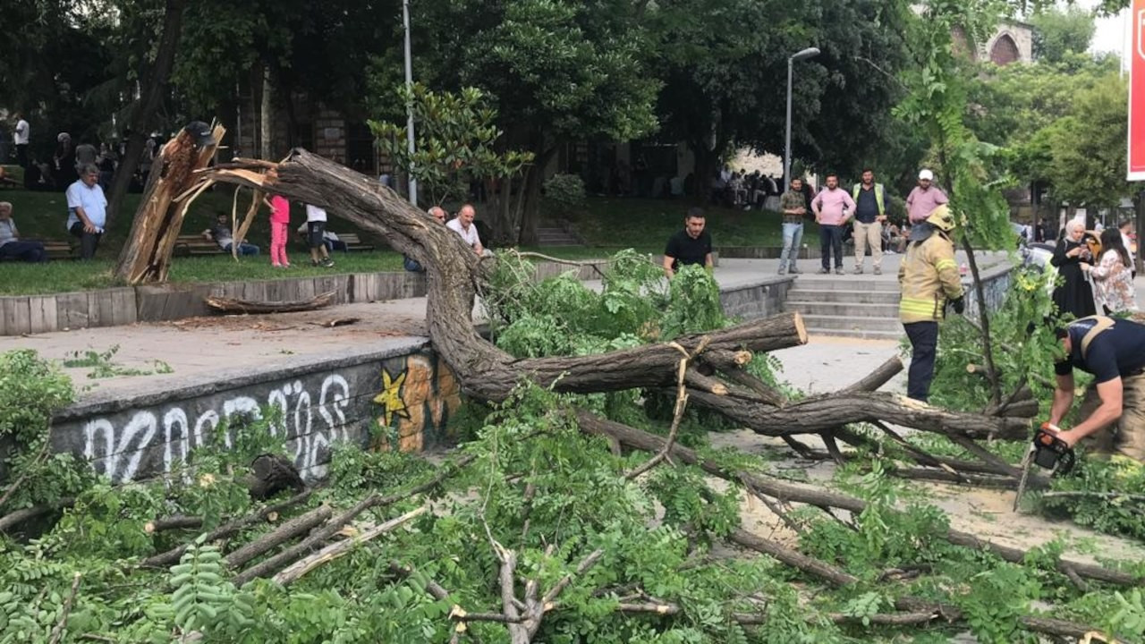 Beyoğlu'nda ağacın devrilmesi sonucu 3 kişi yaralandı