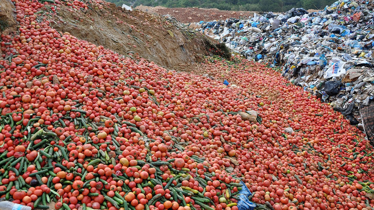 Antalya'da çöpe dökülen sebzeyle ilgili açıklama: Sofraya uygun değil
