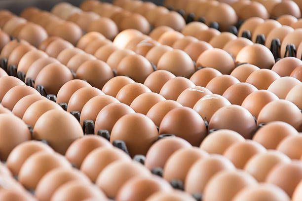 Piyasada yumurta kalmayacak: '30'lu koli 100 kiraya satılacak' - Sayfa 1