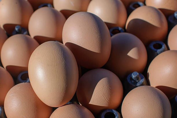 Piyasada yumurta kalmayacak: '30'lu koli 100 kiraya satılacak' - Sayfa 2