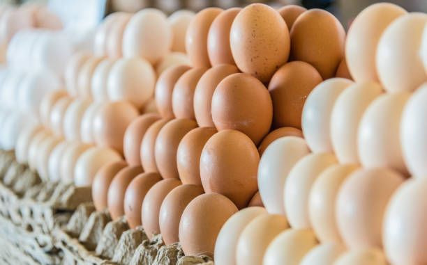 Piyasada yumurta kalmayacak: '30'lu koli 100 kiraya satılacak' - Sayfa 3