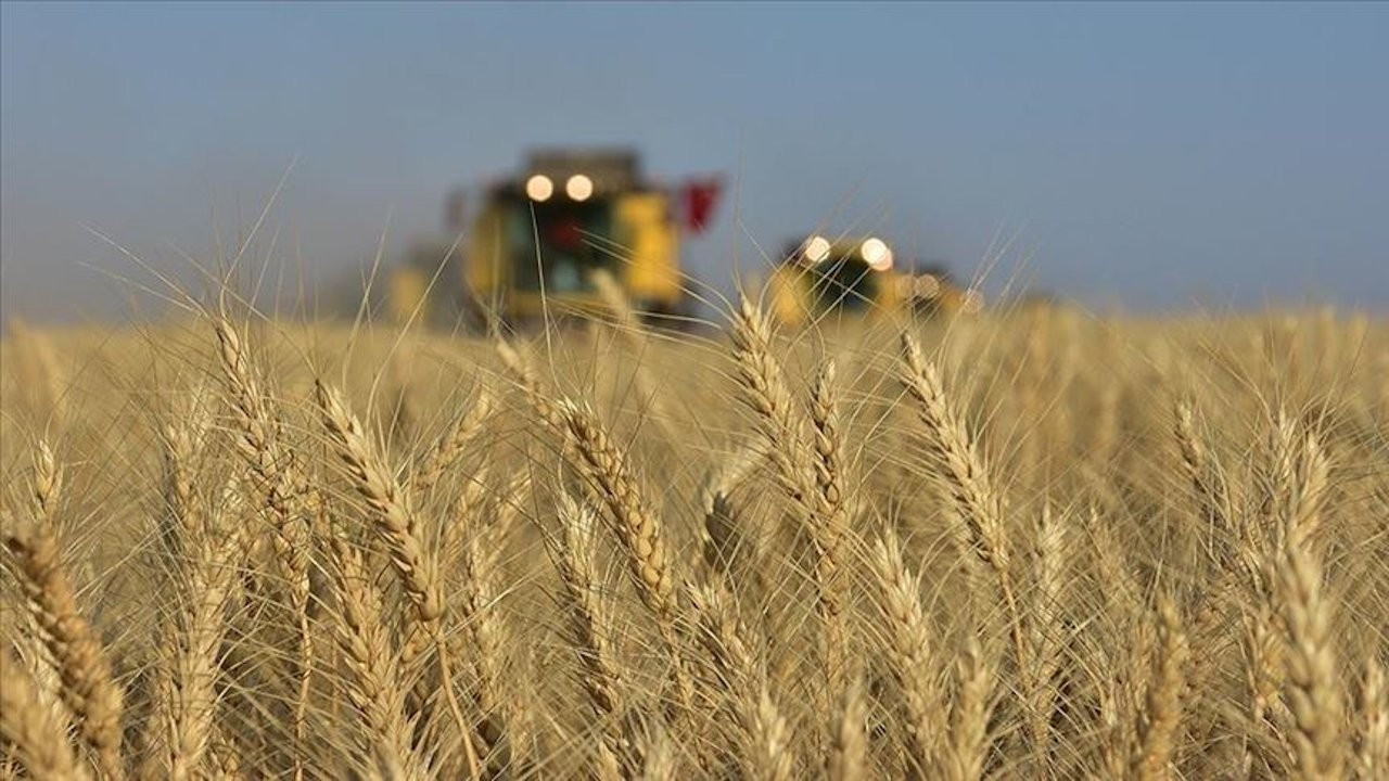Bakan Kirişçi: Maduro teklif etti, Venezuela'da buğday üreteceğiz