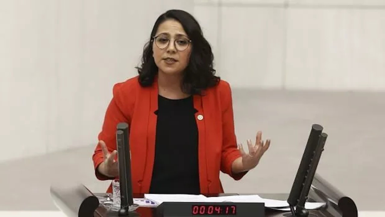 TİP Milletvekili Sera Kadıgil’den, 101’inci Gezi sorusu