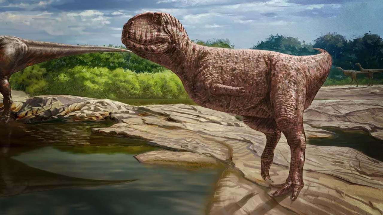 Sahra Çölü'nde 98 milyon yıllık 'bulldog yüzlü dinozor' fosili bulundu