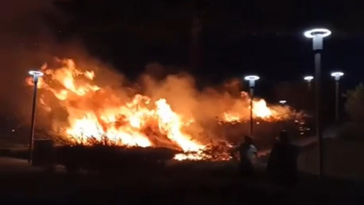 Ankara'da parkta yangın çıktı