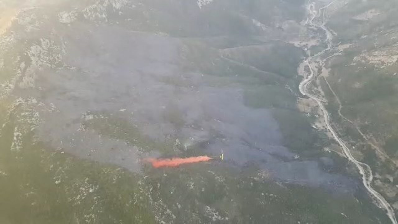 İzmir'deki ikinci orman yangını kontrol altına alındı
