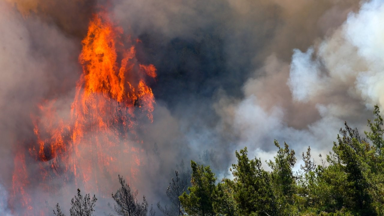 Marmaris'teki orman yangınıyla ilgili soruşturma başlatıldı