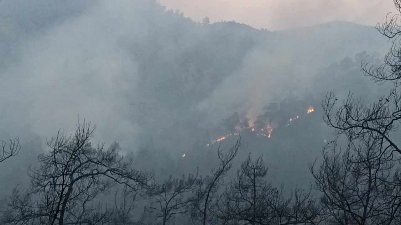 Marmaris'te orman yangınına havadan müdahale yeniden başladı