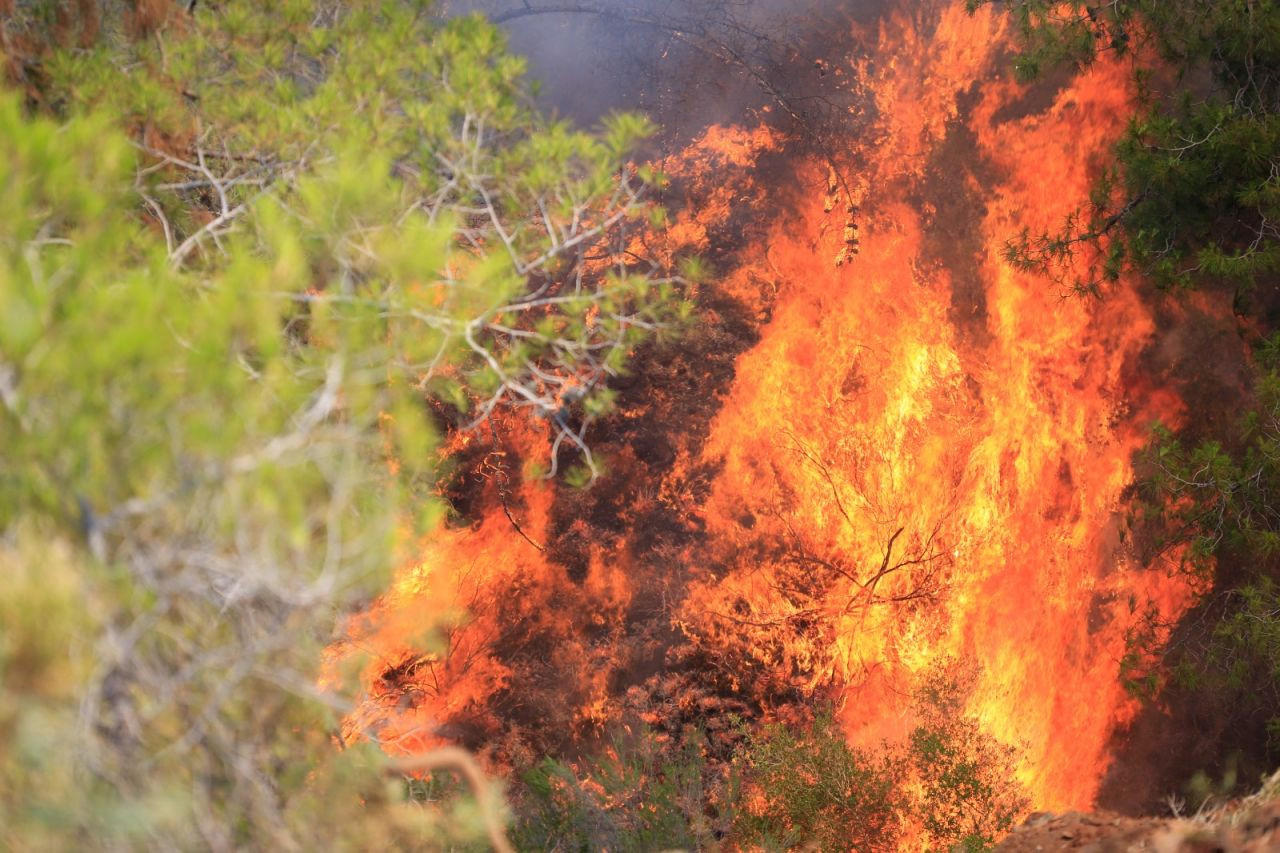 Marmaris'te yangın sürüyor: Orman gönüllüleri ne diyor? - Sayfa 2
