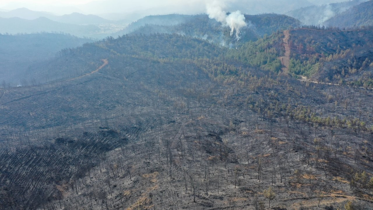 Marmaris'teki orman yangını 5 noktada ilerliyor, 152 kişi tahliye edildi