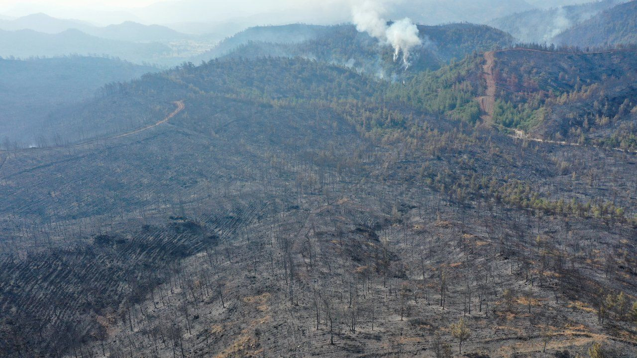 Marmaris'teki orman yangını 5 noktada ilerliyor, 152 kişi tahliye edildi - Sayfa 1