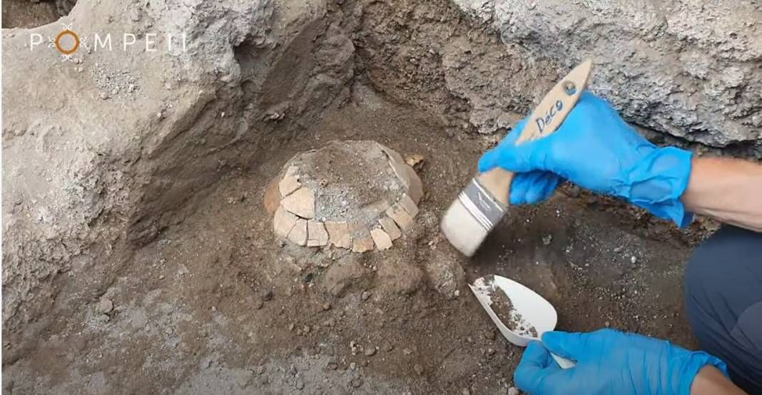 Pompeii'de yeni keşif: Bir kaplumbağa ile yumurtasının kalıntıları bulundu - Sayfa 1