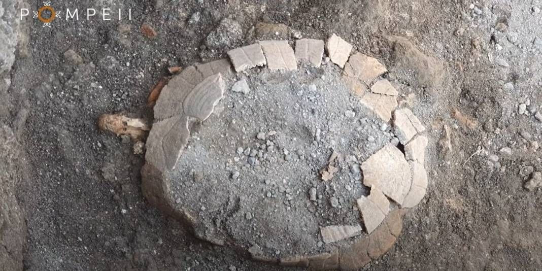 Pompeii'de yeni keşif: Bir kaplumbağa ile yumurtasının kalıntıları bulundu - Sayfa 2