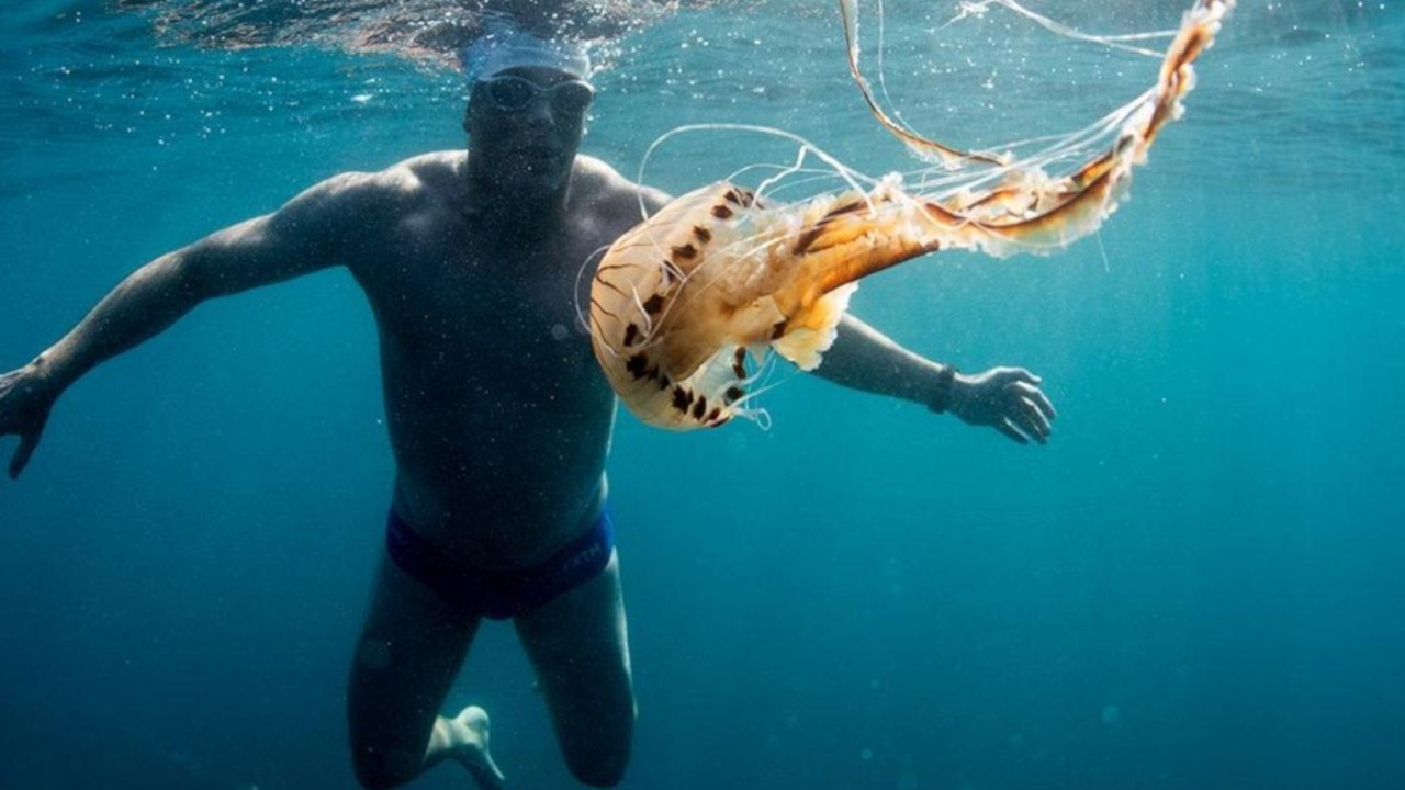 Fransa’da yüzücüler denizanası kolonisine çarptı: Yüzde 80'i sokuldu