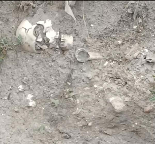 Çankırı'da insan kafatası bulundu - Sayfa 1