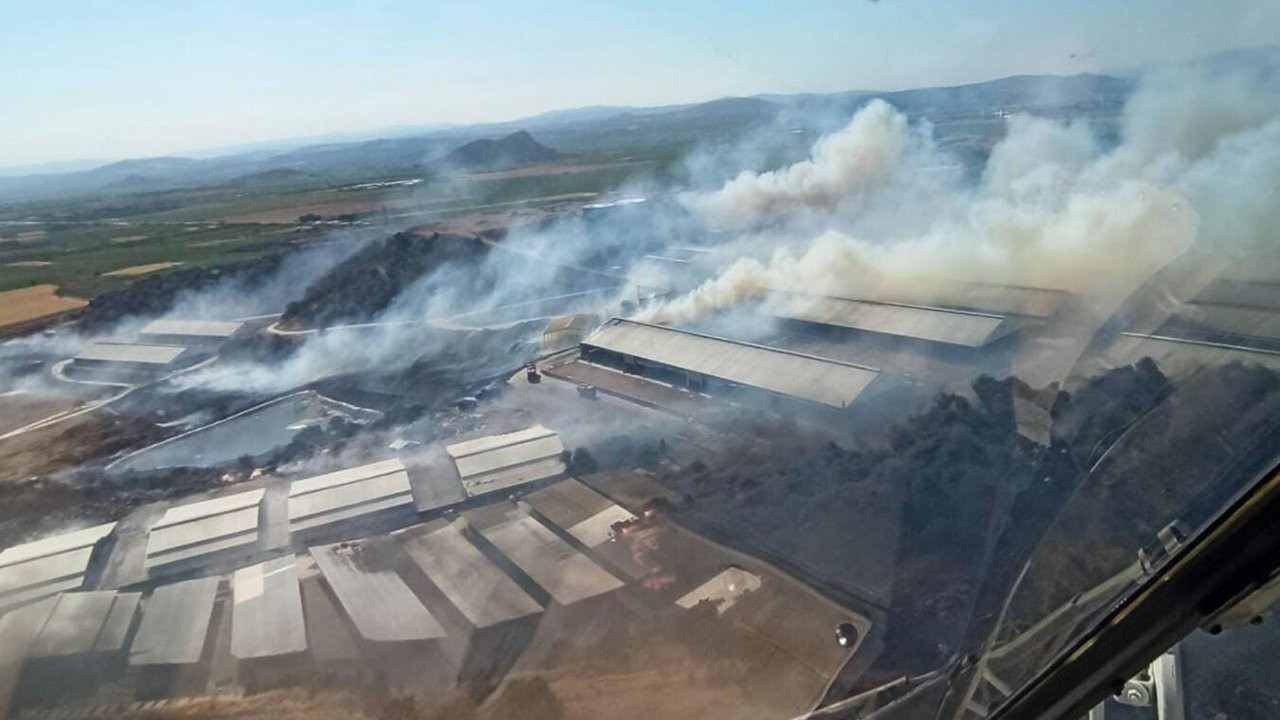 Bergama'da orman yangını: Alevler süt fabrikasını kuşattı