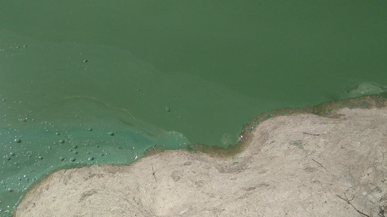 Sazlıdere Barajı'ndaki renk değişimi için bakanlık inceleme başlattı, İSKİ 'doğal süreç' dedi