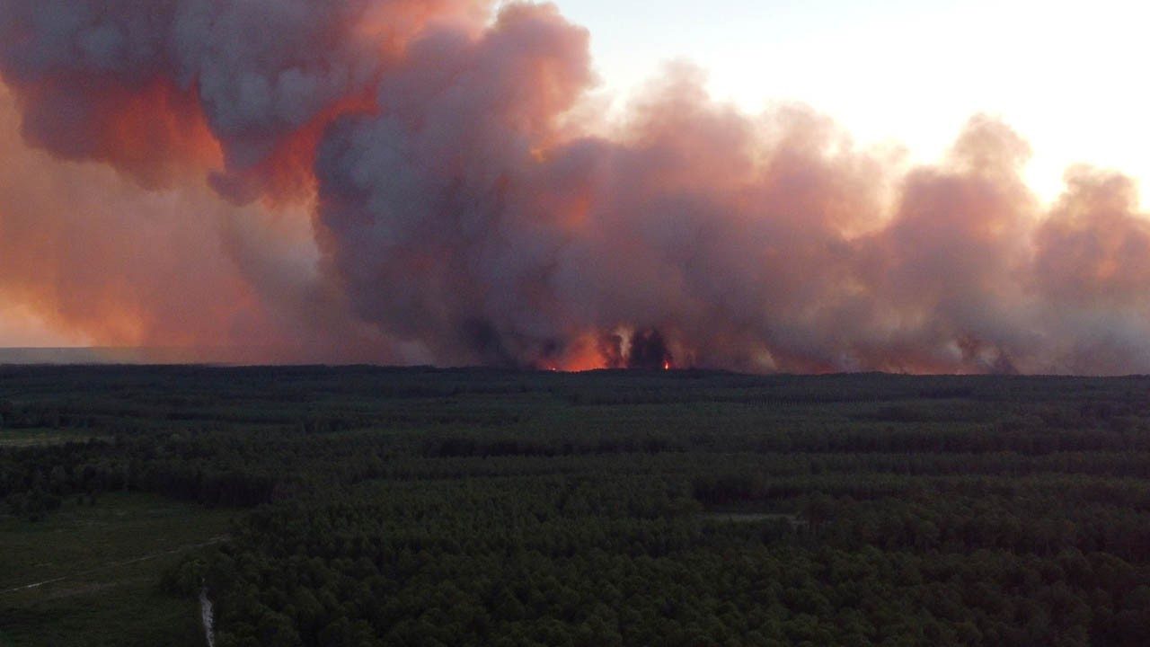 Fransa, İspanya, Fas'ta orman yangınları: Binlerce kişi tahliye edildi
