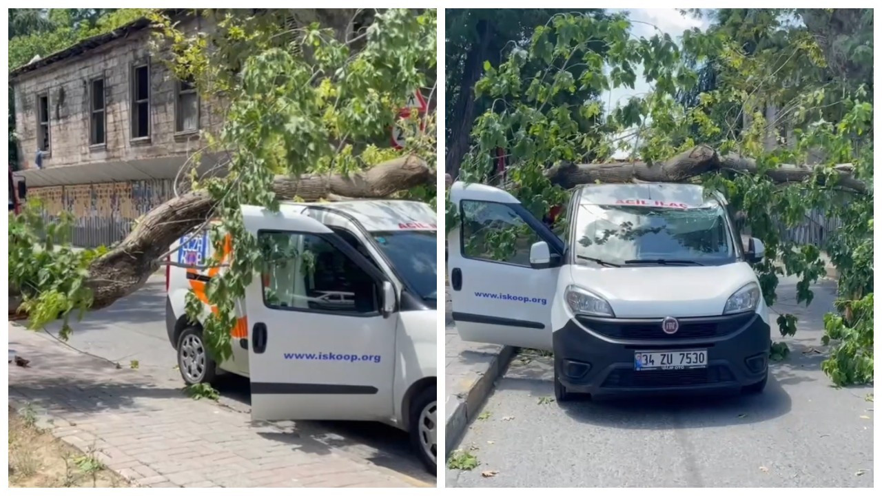 Kadıköy’de devrilen ağaç seyir halindeki aracın üzerine düştü