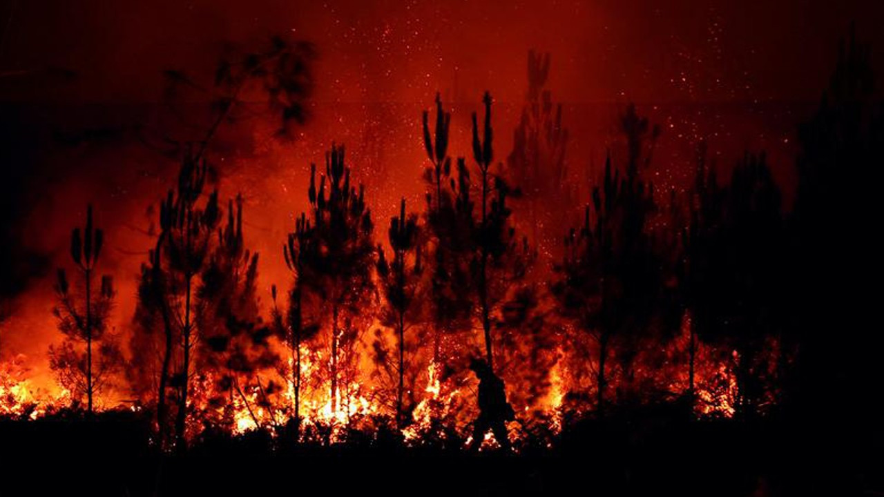 Avrupa'da orman yangınları: On binlerce hektarlık alan kül oldu