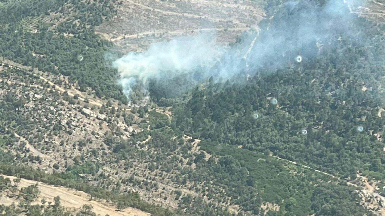 İzmir'de ormanlık ve otluk alanlarda yangın