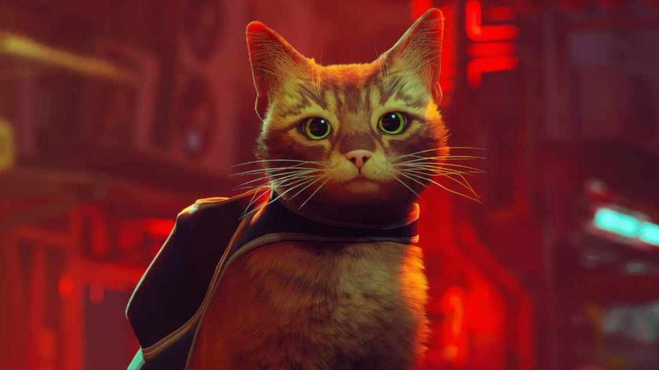 God of War'u geçti: Kedi simülasyonu oyunu 'Stray', 2022’nin en iyi puanlı oyunu oldu