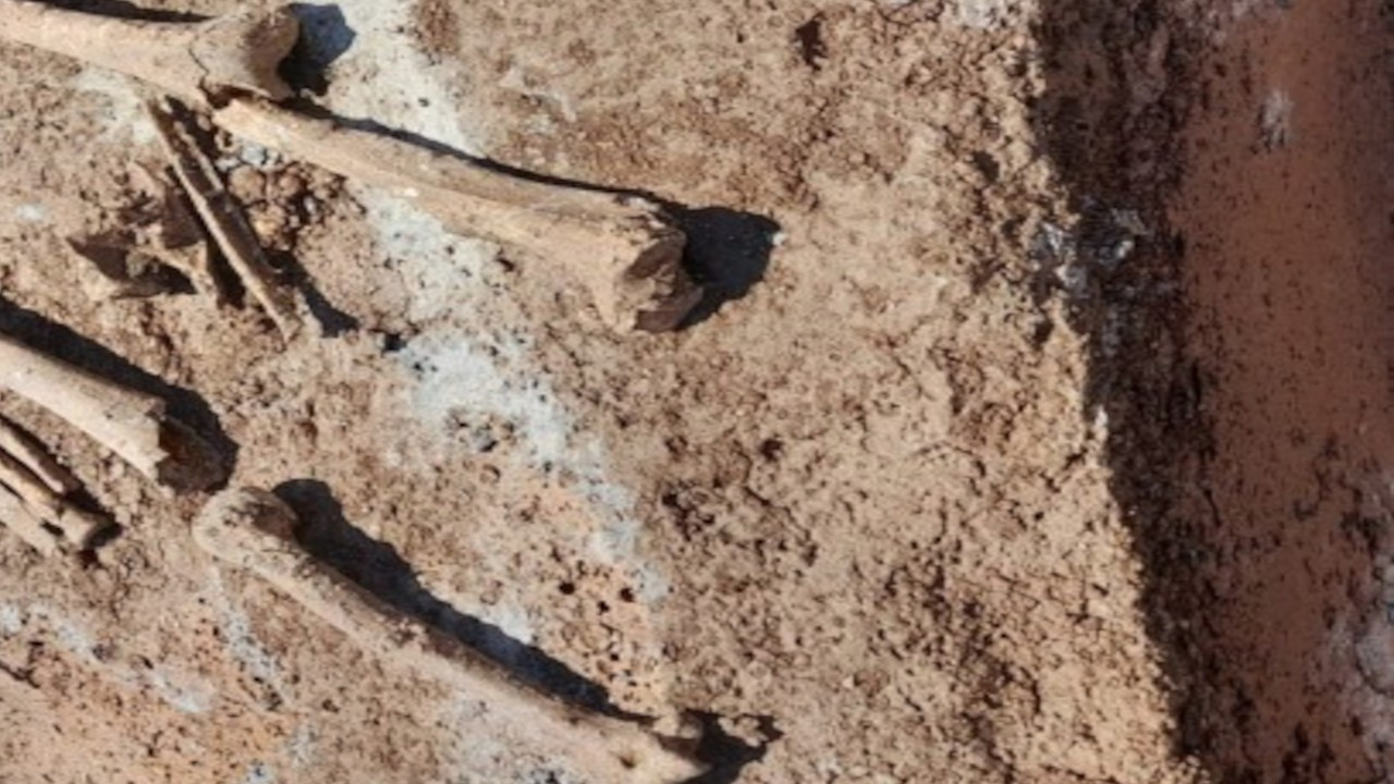 Urfa'da bulunan insan kemikleri de kayıp